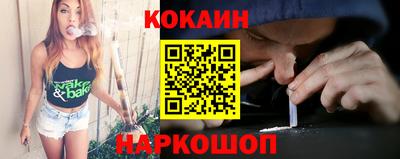 индика Кингисепп