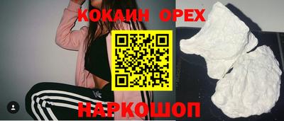индика Кингисепп