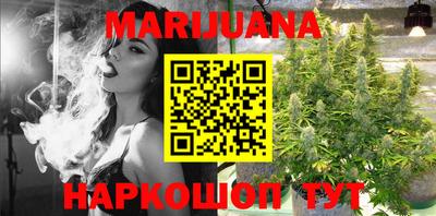 индика Кингисепп