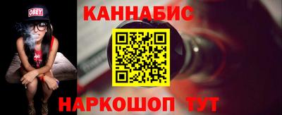 индика Кингисепп