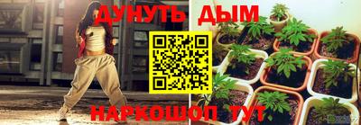 индика Кингисепп