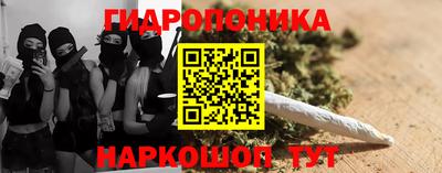 индика Кингисепп