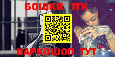 индика Кингисепп