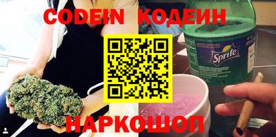 индика Кингисепп