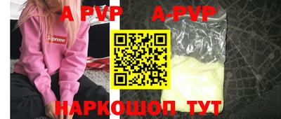 индика Кингисепп