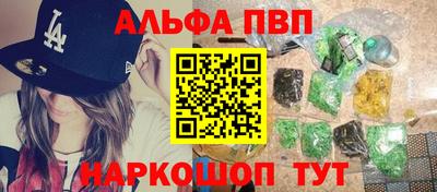 индика Кингисепп