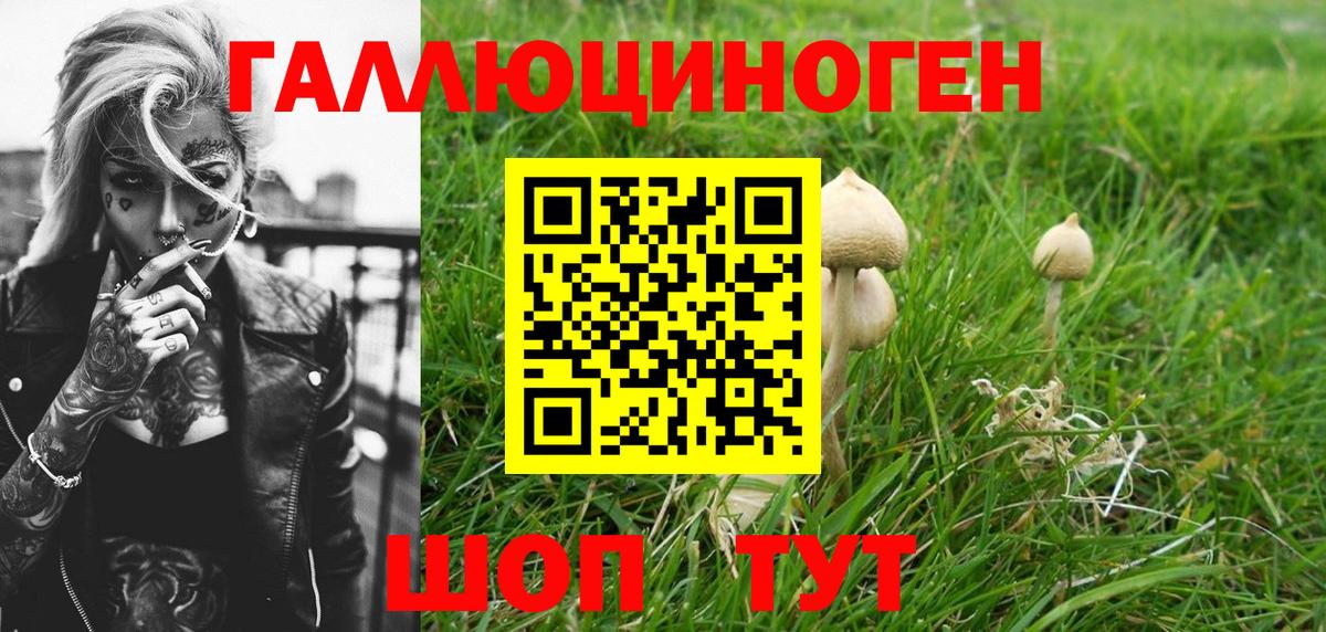 Галлюциногенные грибы мицелий  дарнет шоп  Красноармейск  Вход с VPN 